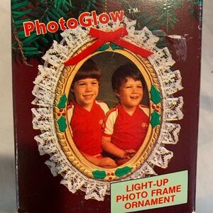 Antique/Vintage Christmas Ornaments Circa 1980